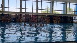 Retour sur notre 1er Gala annuel !